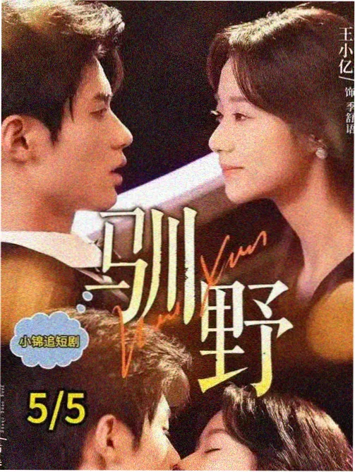 剧集山脊线剧照